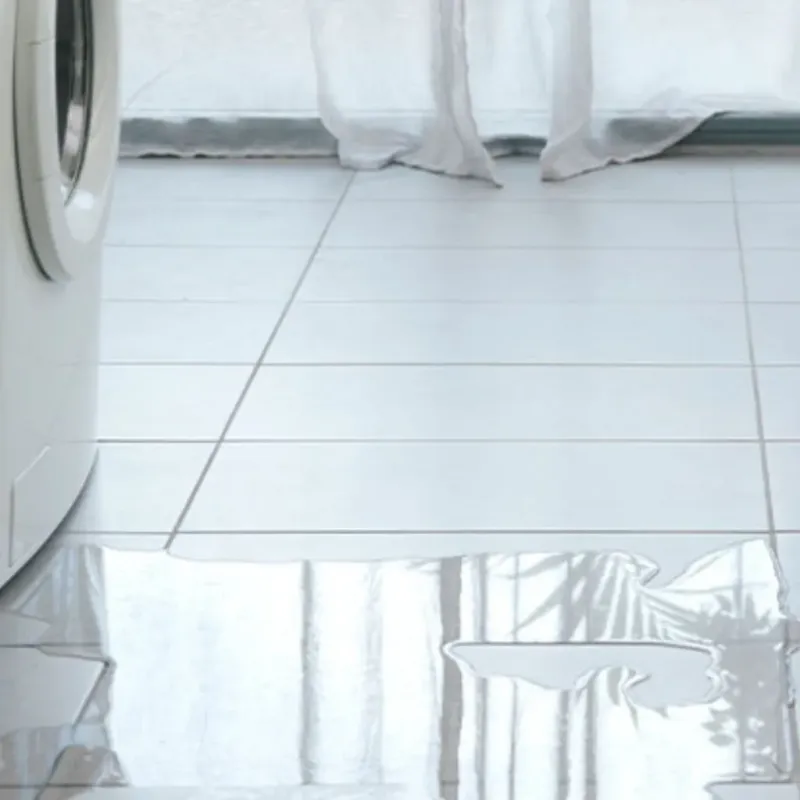 Appliance Leak Cleanup in Paris, IL