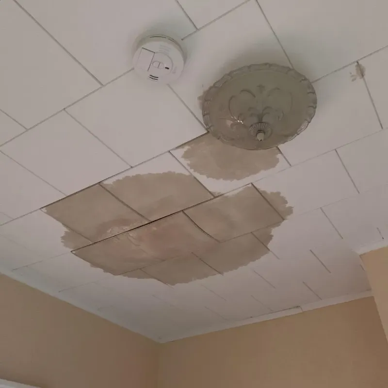 Ceiling Water Damage Repair in Paris, IL