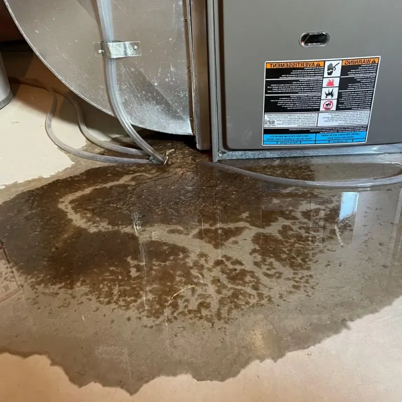 Pipe Burst and Leak Restoration in Paris, IL