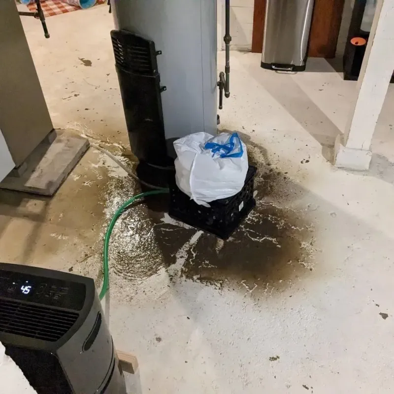 Sewage Backup Cleanup Service in Paris, IL